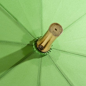 Parapluie 100% GREEN Vert 2