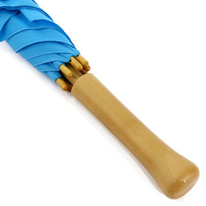 Parapluie RAINY Bleu 3