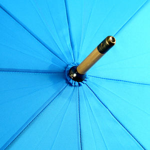 Parapluie RAINY Bleu 5