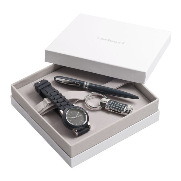 Set CACHAREL : Clé + CMG2991 + CSR2994